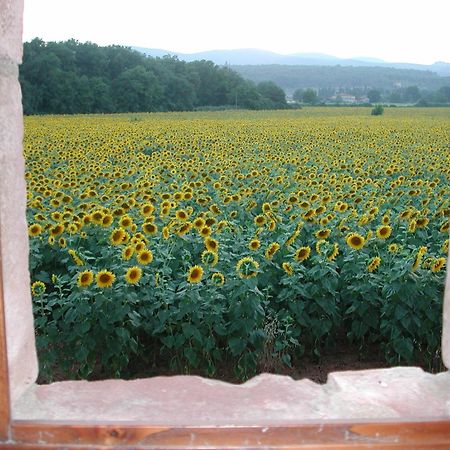 Casale Il Colombaio Di Toiano Vendégház Valli Kültér fotó