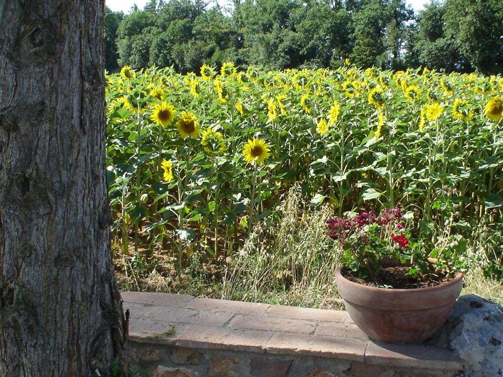 Casale Il Colombaio Di Toiano Vendégház Valli Szoba fotó