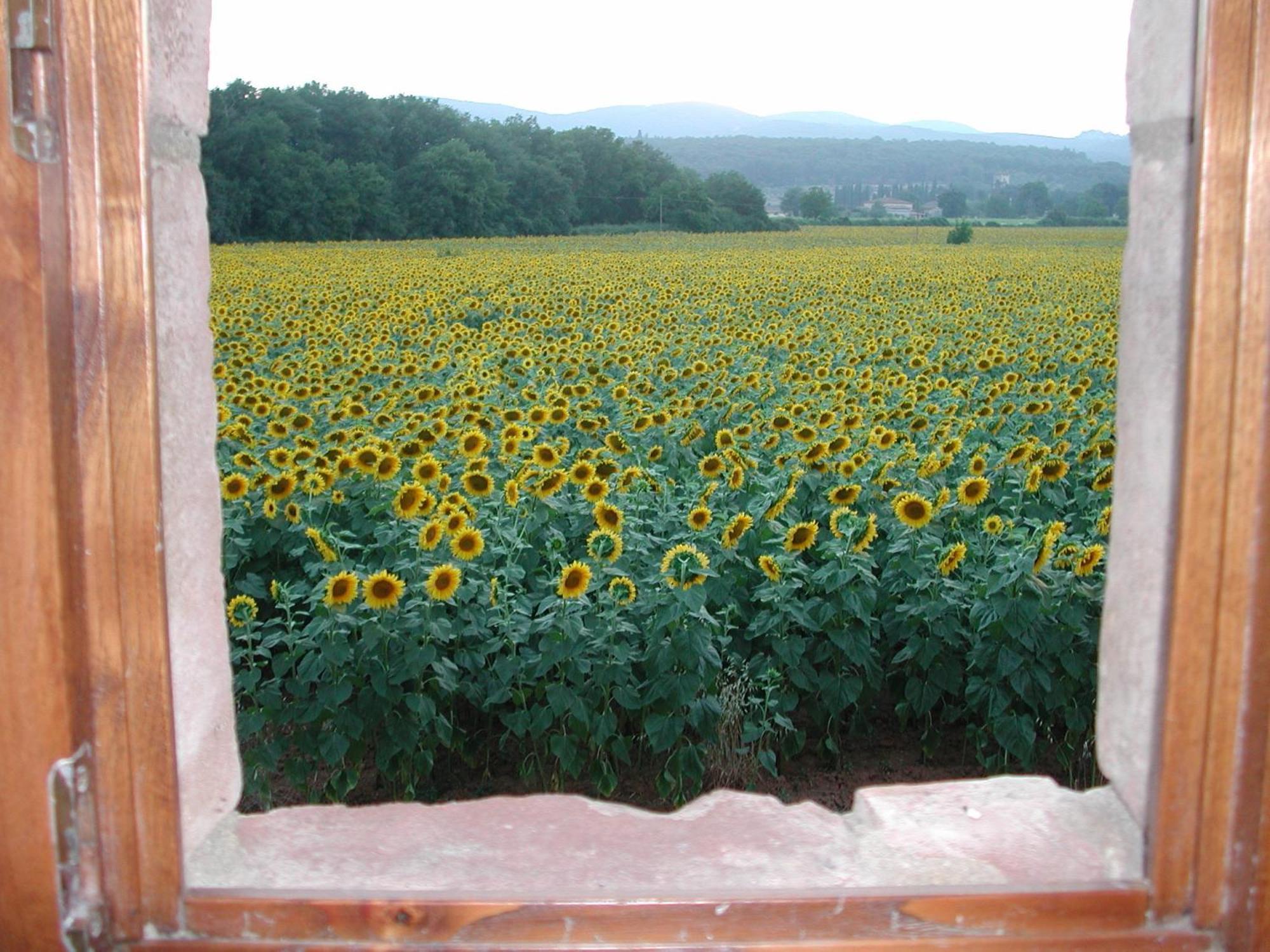 Casale Il Colombaio Di Toiano Vendégház Valli Kültér fotó